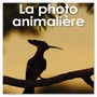 Zoom sur la photo animalière aux Editions Pearson de Cédric Girard